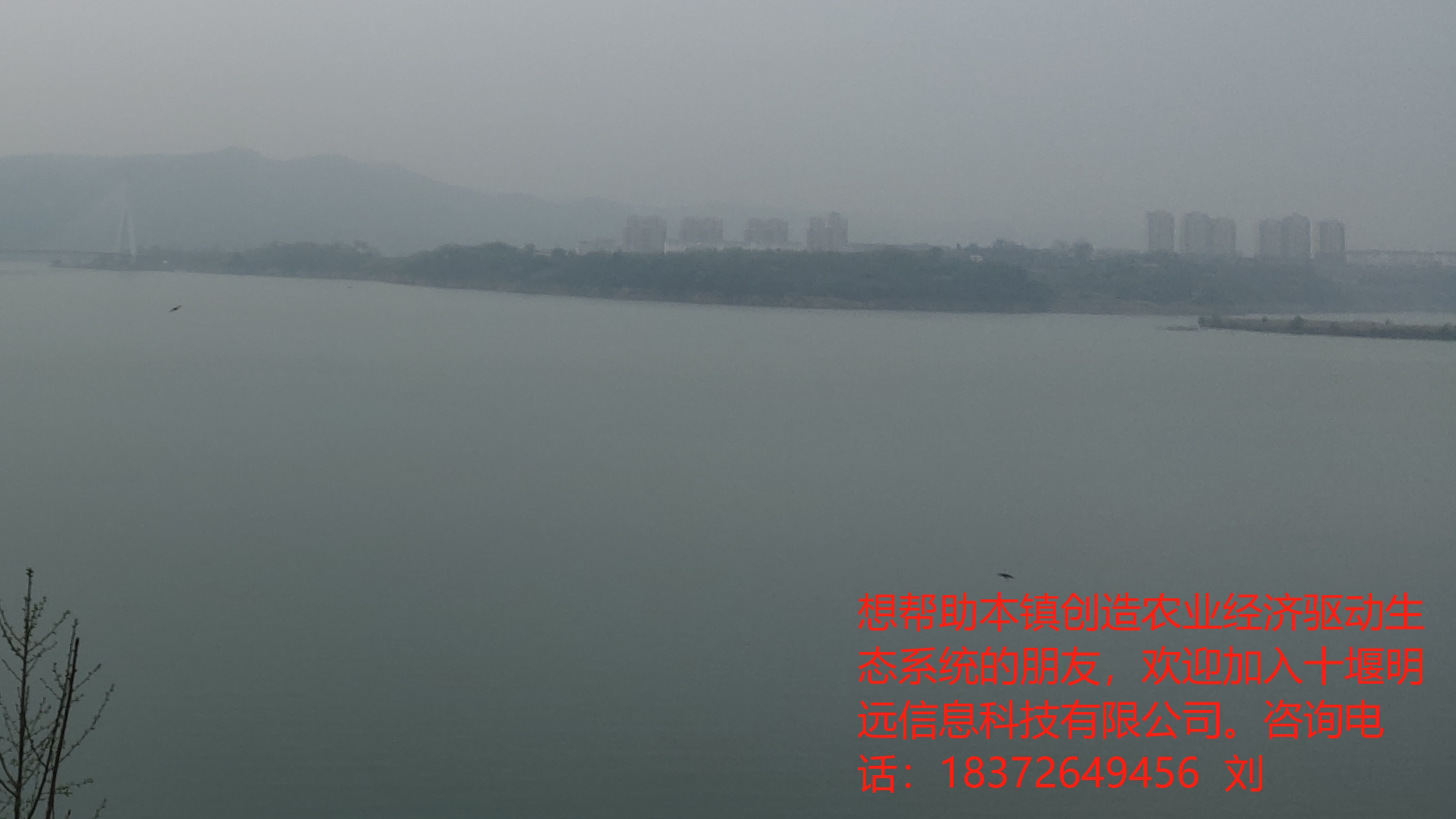 黄龙镇舒家村